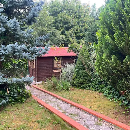Al Castagneto Apartament Vico nel Lazio