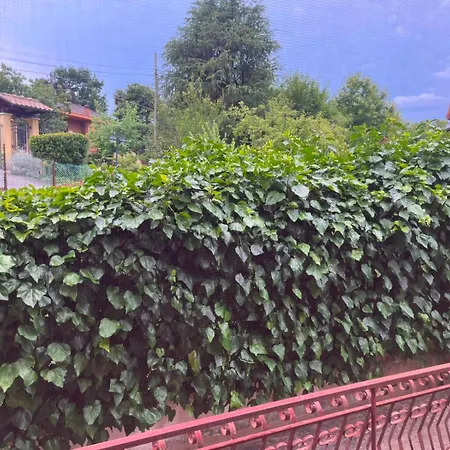 Al Castagneto Lägenhet Vico nel Lazio