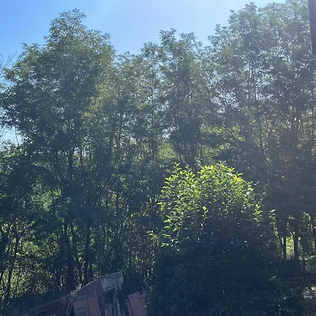 Apartment Al Castagneto